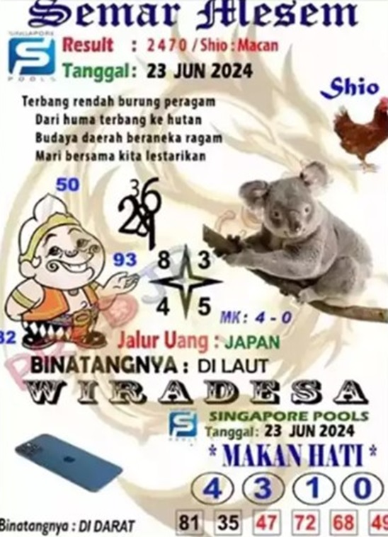 SYAIR SGP VIP